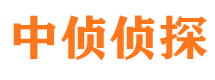 甘洛市调查公司